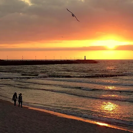 Lägenhet Przy Plazy Przestronny 150 M2 5 Sypialni 2 Lazienki Nowoczesny, Luksusowy, Cichy *