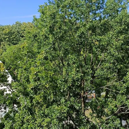 Przy Plazy Przestronny 150 M2 5 Sypialni 2 Lazienki Nowoczesny, Luksusowy, Cichy *