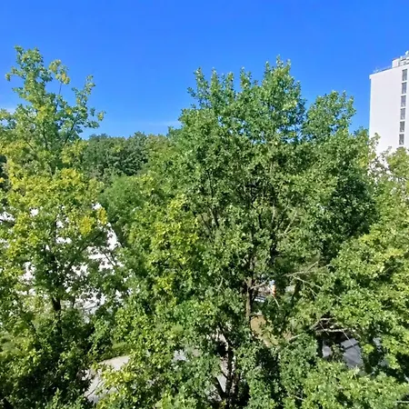 Przy Plazy Przestronny 150 M2 5 Sypialni 2 Lazienki Nowoczesny, Luksusowy, Cichy * 科沃布热格